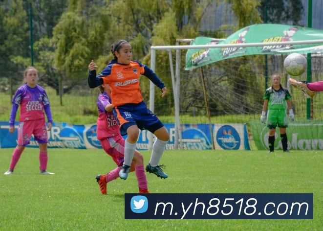 App Interface Preview